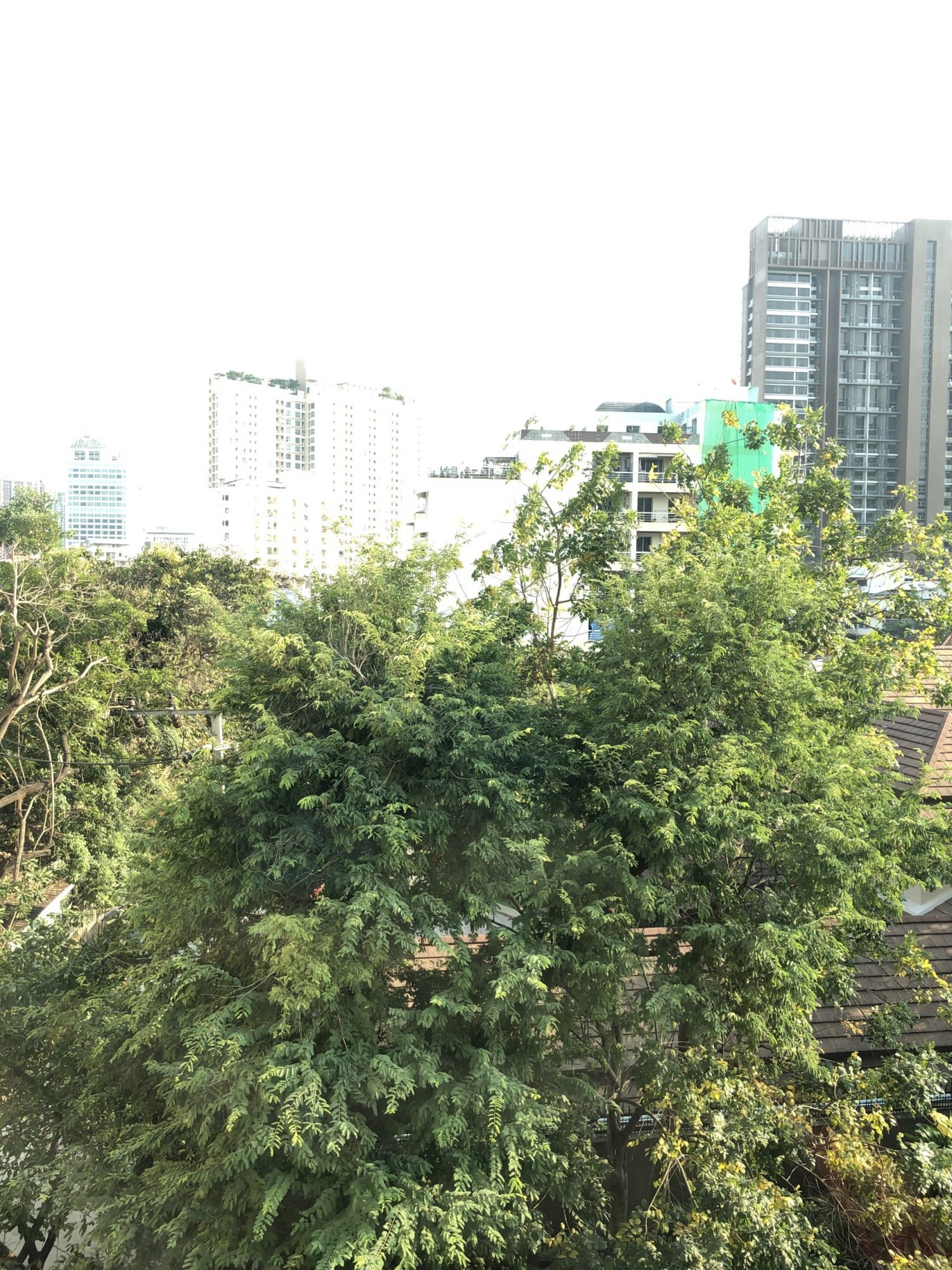 ให้เช่า Hive Sukhumvit 65 1 ห้องนอน 41 ตรม ใกล้ BTS พระโขนง เพียง 16,000 บาท/เดือน เฟอร์นิเจอร์ครบพร้อมเข้าอยู่ (PROP000234)