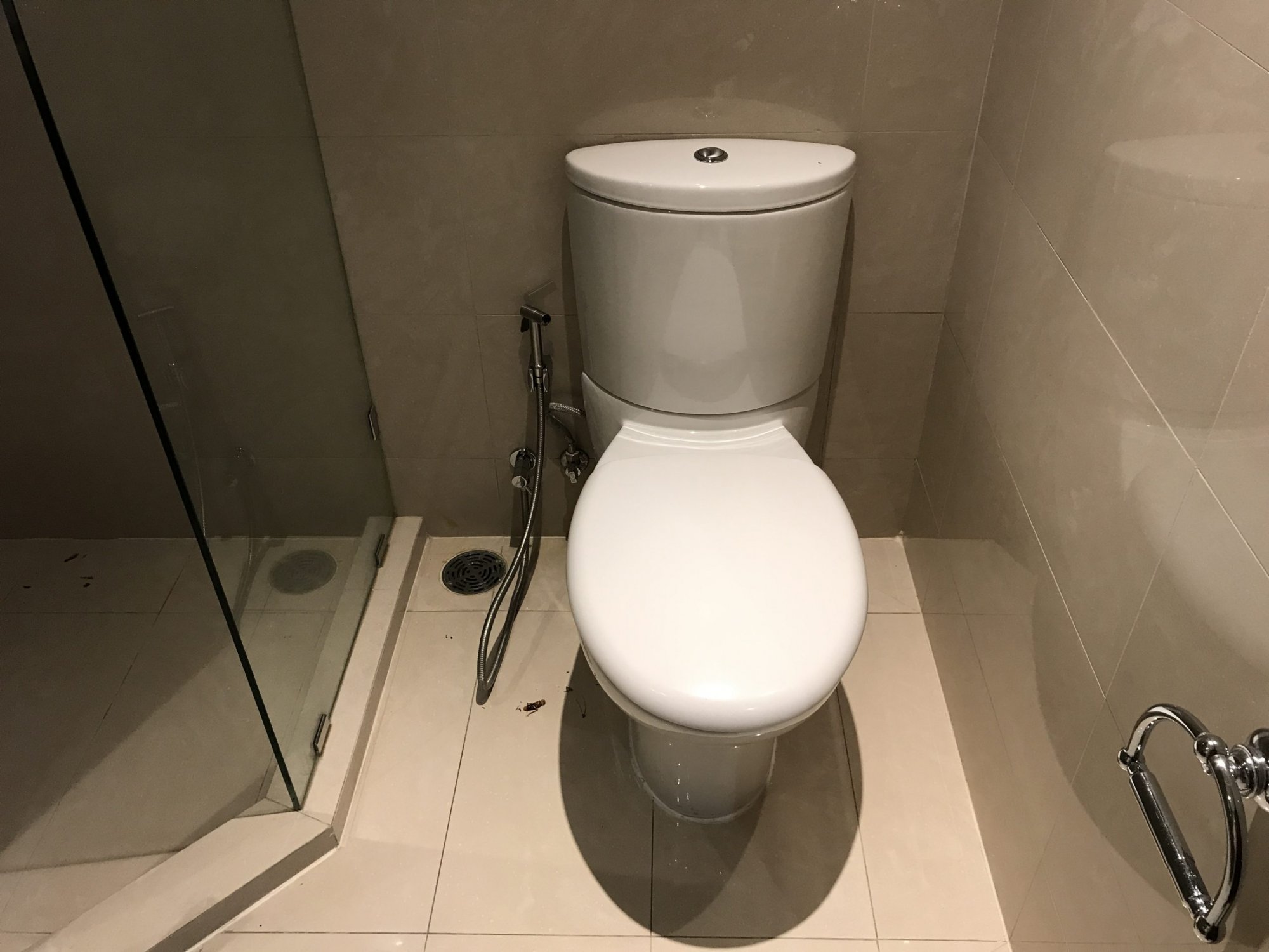 ให้เช่าเบลกราเวีย เรสสิเดนซ์ วิวสวย 4ห้องนอน 298ตรม ลิฟท์ส่วนตัว