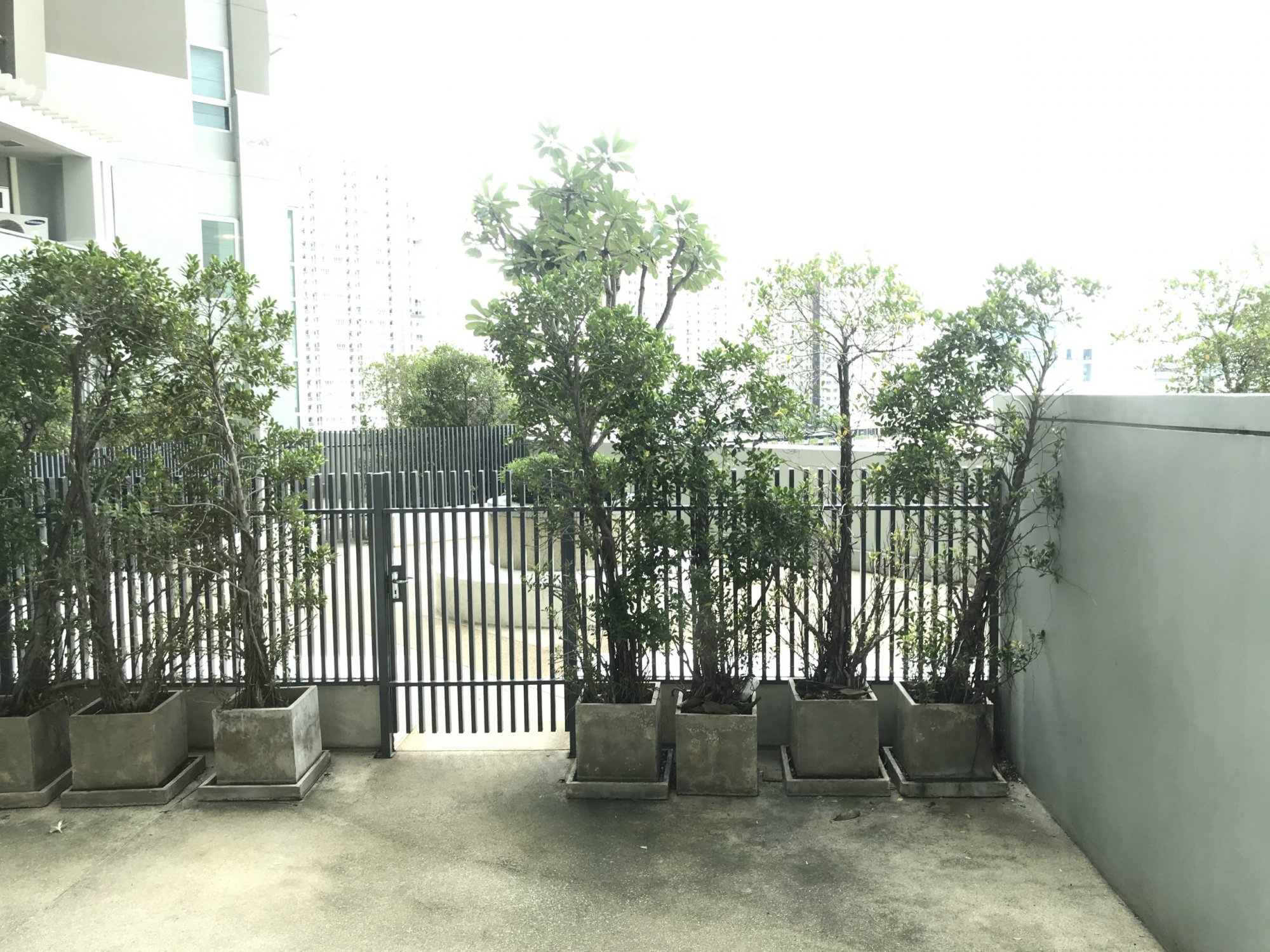 ให้เช่า! Belle Grand Rama9 2 ห้องนอน 141.52ตรม. (Duplex) ใกล้ MRTพระราม9 เพียง 65,000บาท/เดือน เฟอร์นิเจอร์ครบพร้อมเข้าอยู่ PROP000451