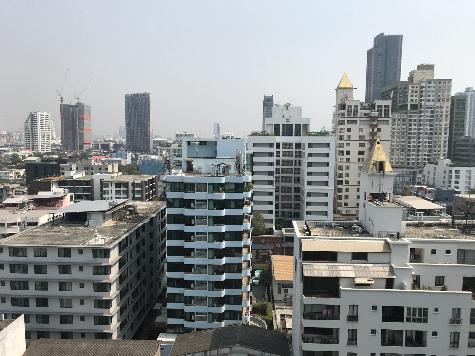 ปล่อยเช่า! Ivy Thonglor ในราคาเพียง 25,000บาท/เดือน 1 ห้องนอน 1 ห้องน้ำ 43ตรม. ห้องใหญ่อยู่สบาย ใกล้ BTS ทองหล่อ เฟอร์นิเจอร์ครบพร้อมเข้าอยู่ PROP000497