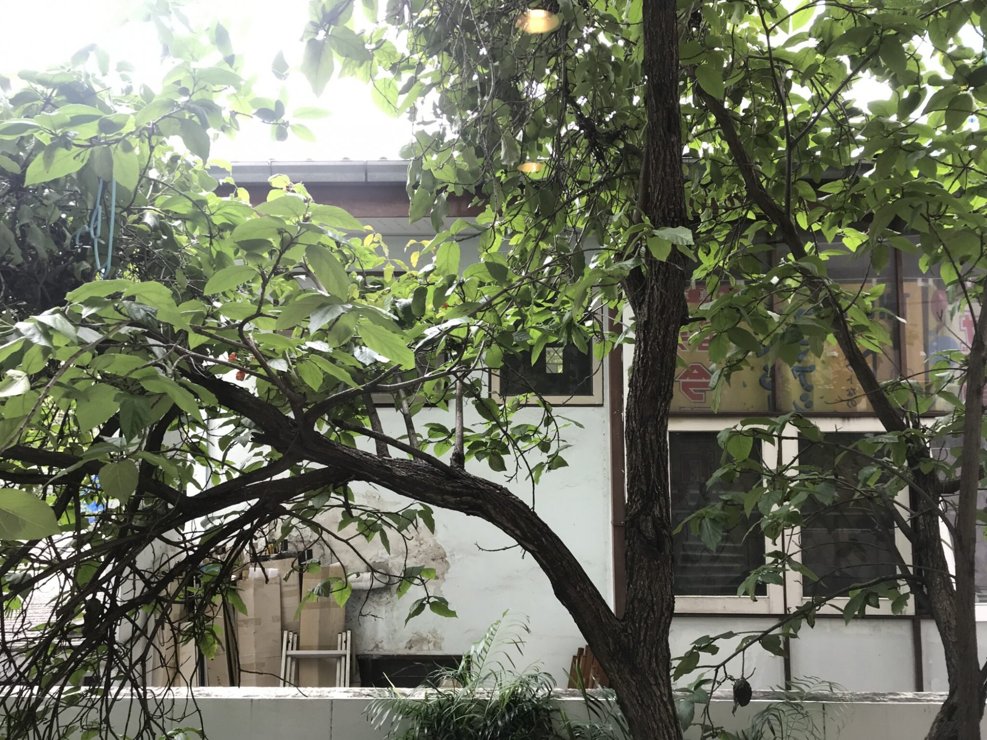 New Renovated Avenue Sukhumvit 61 ปล่อยเช่า เพียง 60,000บาท 2 ห้องนอน 2 ห้องน้ำ 109ตรม. ใกล้ BTS ทองหล่อ เฟอร์นิเจอร์ครบพร้อมเข้าอยู่ (ราคาต่อรองได้) PROP000620