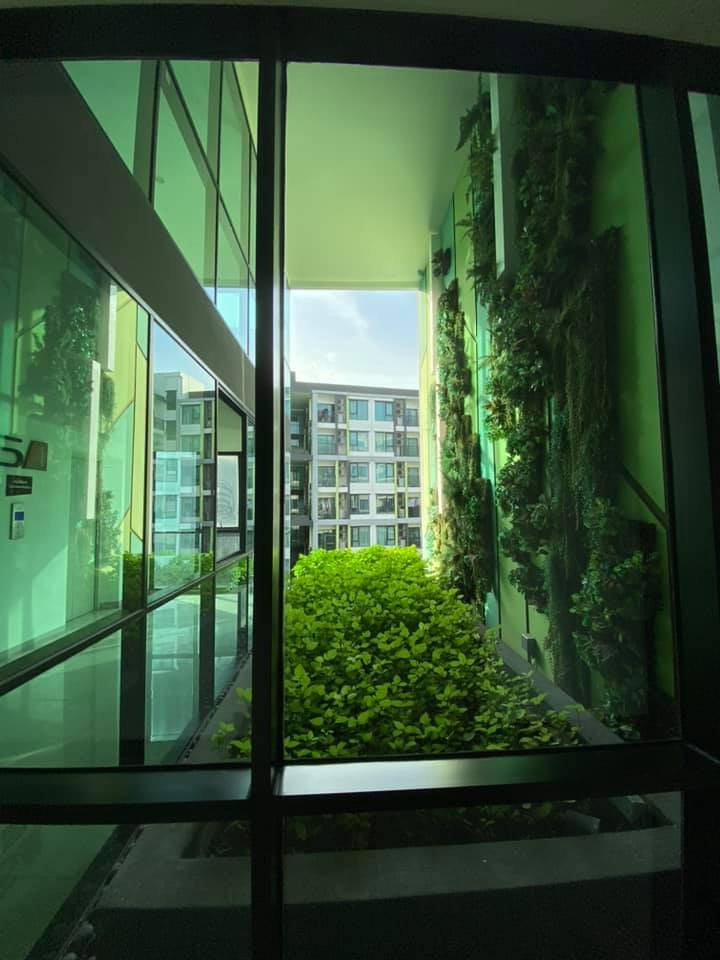 🔥New Arrival. Beautiful new condo for sale. Corner room. The Niche Mono Sukhumvit 50 1 bedroom 29.5 sq m. Sell for only 3.35 MB