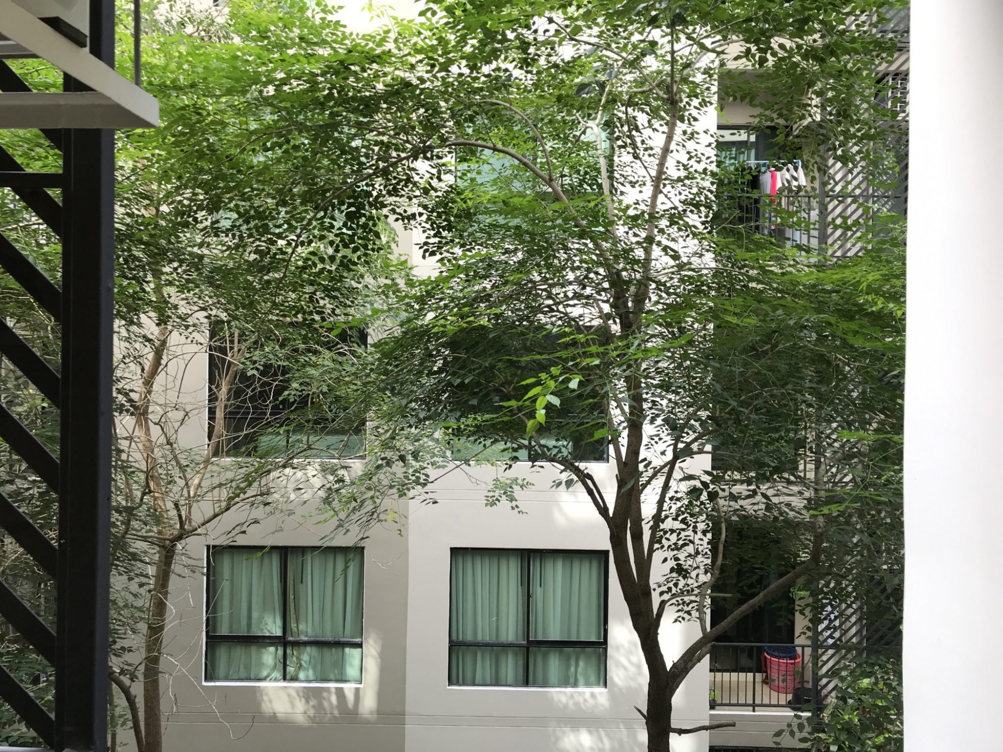 For sale at Lesto Sukhumvit 113 2.08 - 2.23M Type 1 Bedroom Size 26.62Sq.m PROP000702